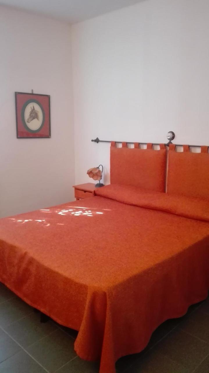 Agriturismo San Marco Otel Rosignano Marittimo Dış mekan fotoğraf